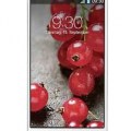 سعر ومواصفات هاتف LG Optimus L9 II